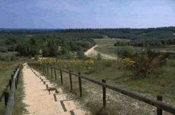 Veelzijdig landschap